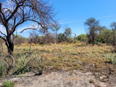 Terrenos Venta Santiago Del Estero Vendo terreno en Maco