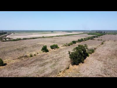 Campos Fincas Chacras Venta Santiago Del Estero 700 Hectreas En Aive