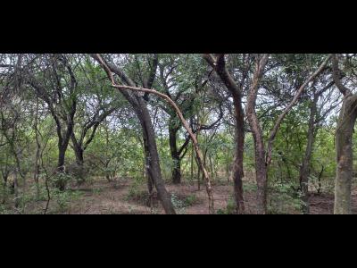 Terrenos Venta Santiago Del Estero VENDO O ALQUILO