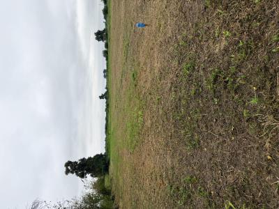 Terrenos Venta Santiago Del Estero Loteo RaJu
