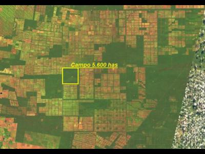 Campos Fincas Chacras Venta Salta Campo en Provincia Salta